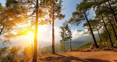 Picture of Hiking Turkey's Lycian Way