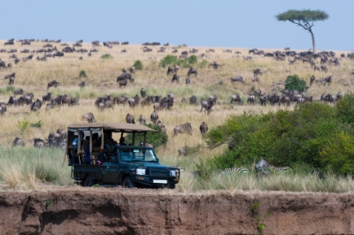Picture of South Africa Trip: Endless Adventure Between Beauty and Nature