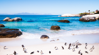 Picture of South Africa Trip: Endless Adventure Between Beauty and Nature