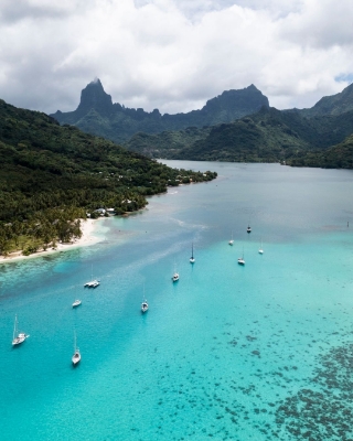 Picture of French Polynesia – Ladies only