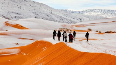 Picture of Algeria - Ladies Only 